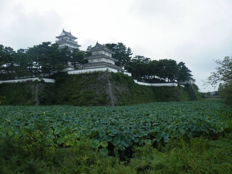 緑の堀の向こう、石垣の上にそびえる島原城の白い天守と櫓