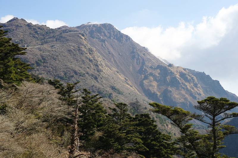 松の木の向こうにそびえる雲仙の普賢岳と平成新山の岩肌