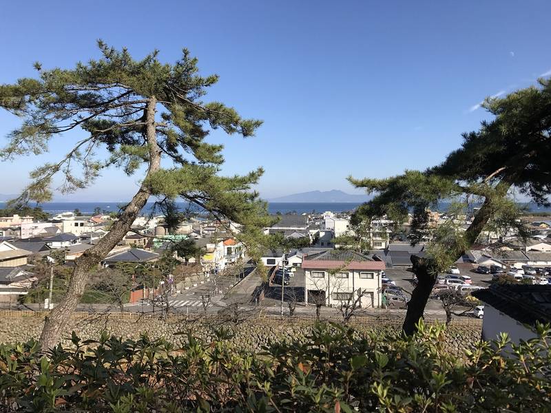 松の枝越しに見下ろす島原の家並みと、その先に広がる島原湾